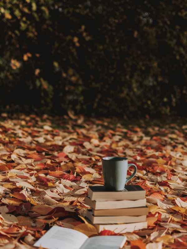 Survival Through Change – Books That Showcase the Power of Adaptive&nbsp;Advantage