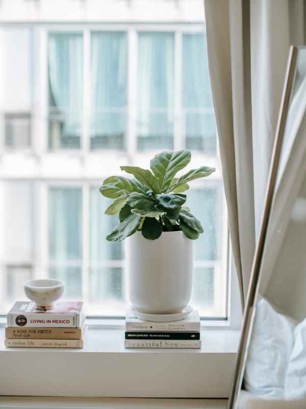 Growth Unlocked – Books That Show the Power of&nbsp;Transformation