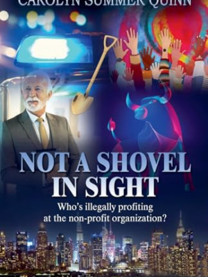 Not A Shovel In Sight by Carolyn Summer&nbsp;Quinn