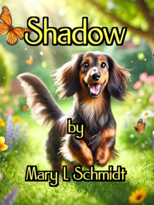 Review of Shadow by Mary & Michael&nbsp;Schmidt