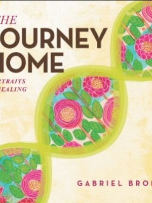The Journey Home: Portraits of Healing by Gabriel&nbsp;Bron